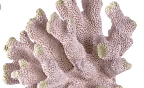 Screen Shot 2017-11-23 at 9.38.23 am.png