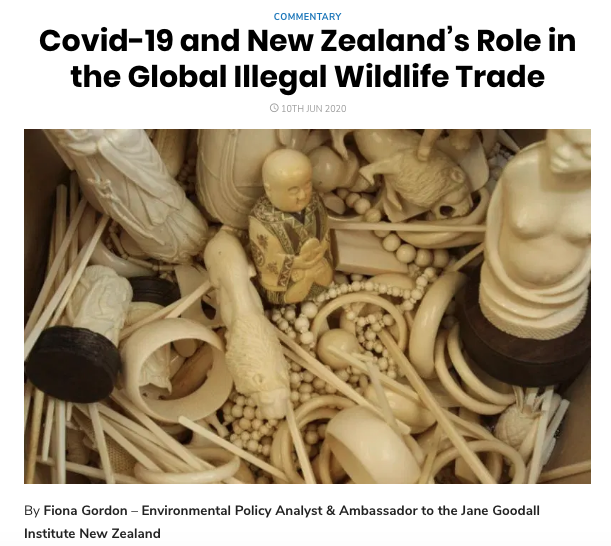 Covid19 and NZ illegal wildlife trade